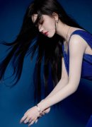 》正在裁量基准部门将地盘类型做为大部门违法